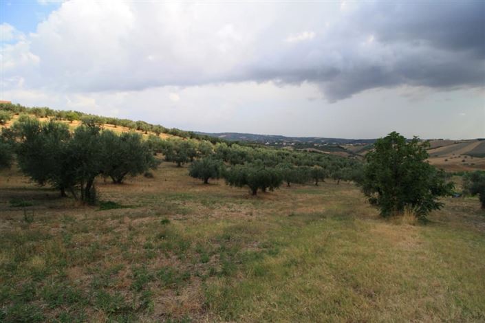 Image No.34-Villa / Détaché de 4 chambres à vendre à Lanciano