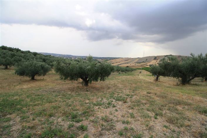 Image No.38-Villa / Détaché de 4 chambres à vendre à Lanciano