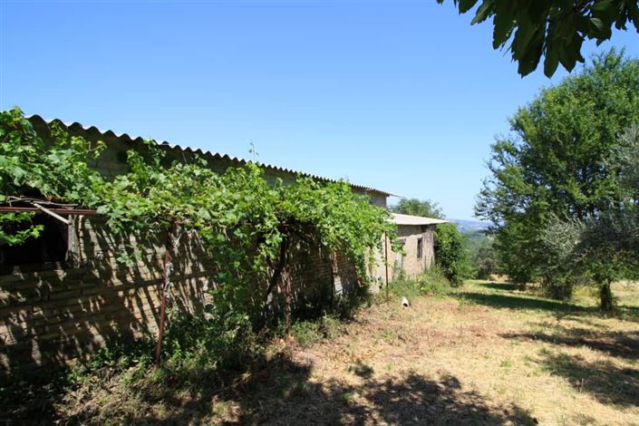 Image No.10-Maison de 4 chambres à vendre à Rapino