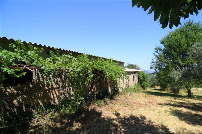 Image No.11-Maison de 4 chambres à vendre à Rapino