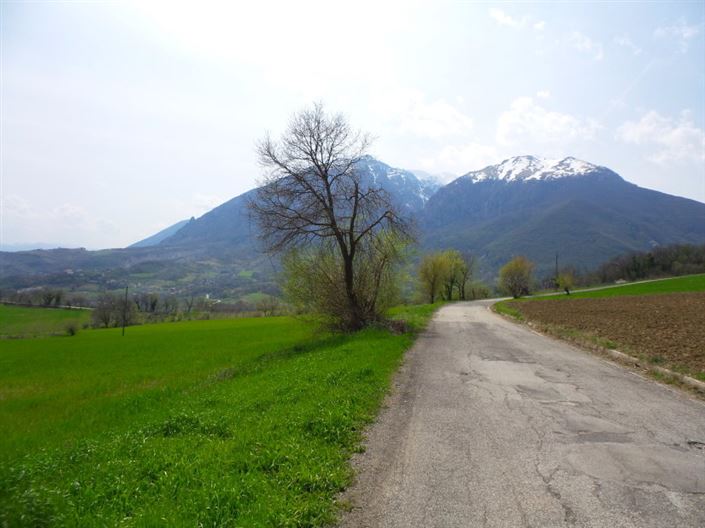 Image No.18-Villa / Détaché de 4 chambres à vendre à Guardiagrele