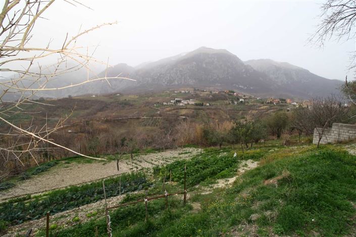 Image No.29-Maison de 3 chambres à vendre à Palombaro