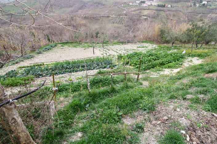 Image No.5-Maison de 3 chambres à vendre à Palombaro