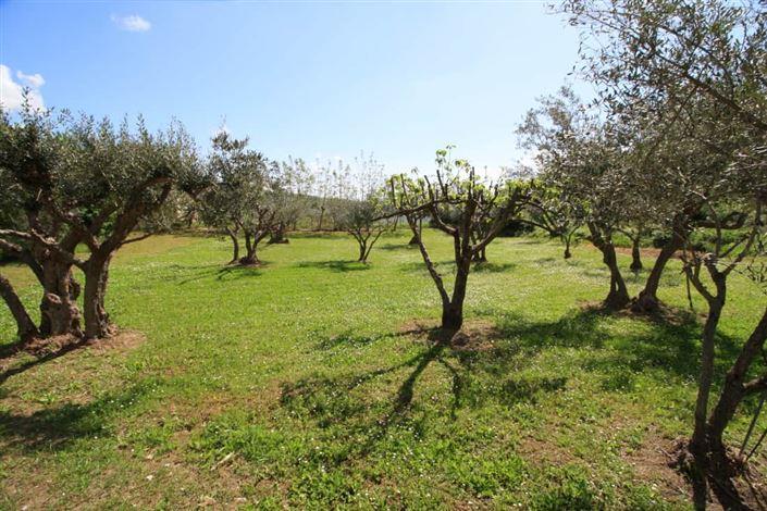 Image No.33-3 Bed Villa / Detached for sale