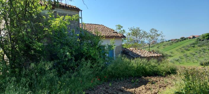 Image No.1-2 Bed Villa / Detached for sale