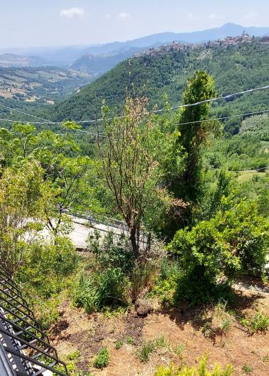 Image No.6-3 Bed House for sale