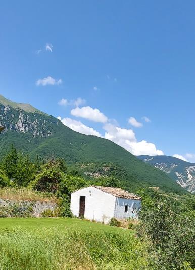 Image No.42-3 Bed House for sale