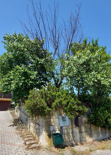 Image No.7-3 Bed House for sale