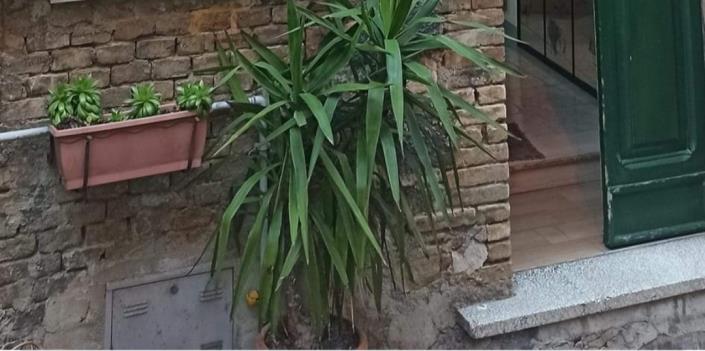 Image No.2-2 Bed Townhouse for sale