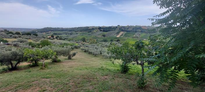 Image No.7-Country Property for sale