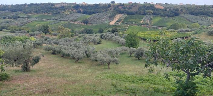 Image No.8-Country Property for sale