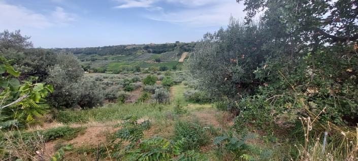 Image No.9-Country Property for sale