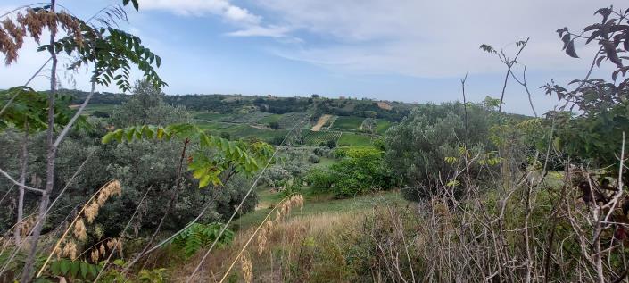 Image No.10-Country Property for sale