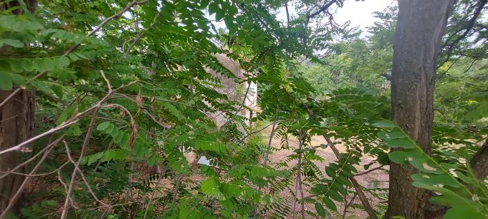 Image No.12-Country Property for sale