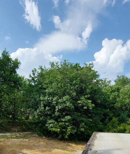 Image No.25-3 Bed Villa / Detached for sale