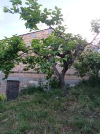 IMG-20220818-WA0006