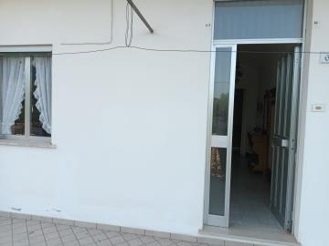 IMG-20220818-WA0010