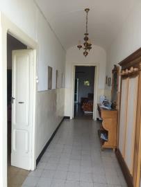 IMG-20220818-WA0011
