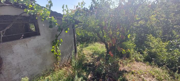 Image No.8-4 Bed House for sale