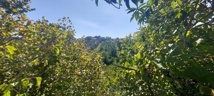 Image No.9-4 Bed House for sale