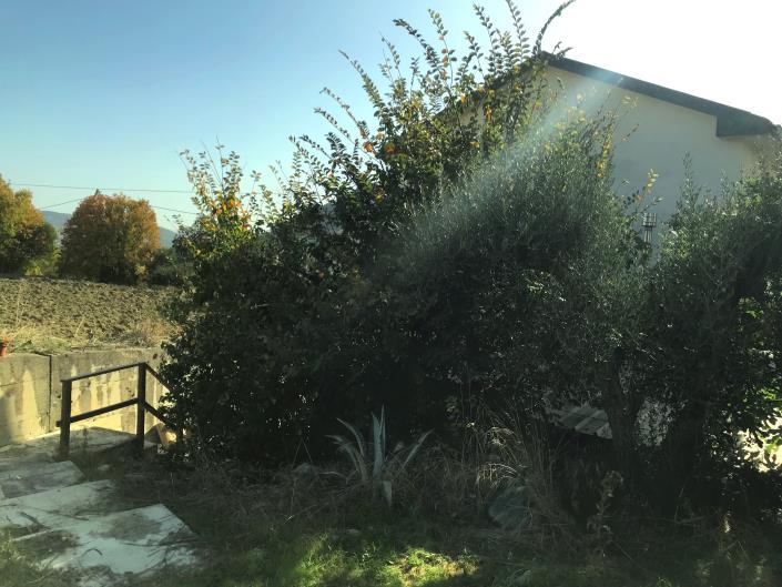 Image No.12-3 Bed Country House for sale