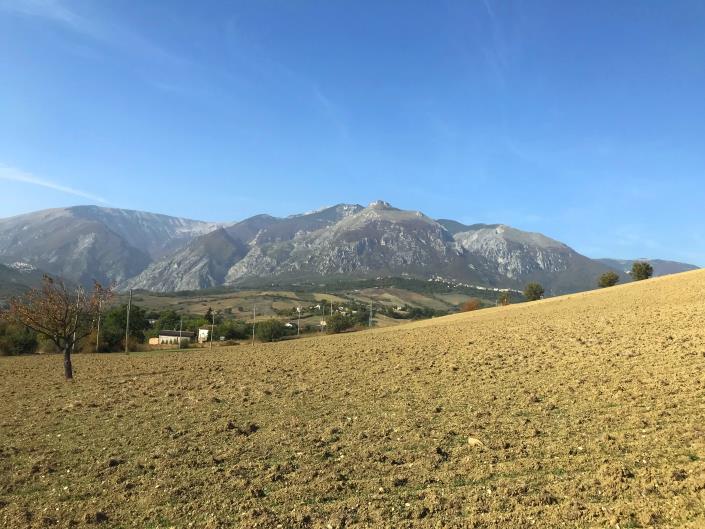 Image No.11-3 Bed Country House for sale