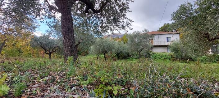 Image No.3-Propriété de pays de 2 chambres à vendre à Palombaro