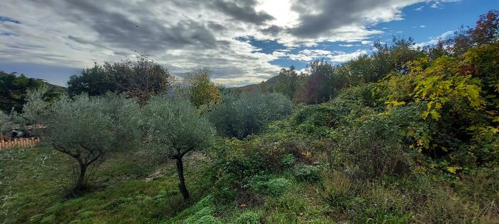 Image No.5-Propriété de pays de 2 chambres à vendre à Palombaro
