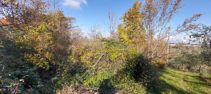 Image No.25-Propriété de pays de 2 chambres à vendre à Palombaro