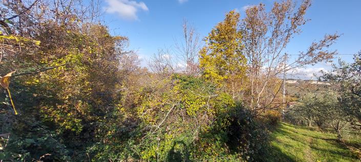 Image No.26-Propriété de pays de 2 chambres à vendre à Palombaro