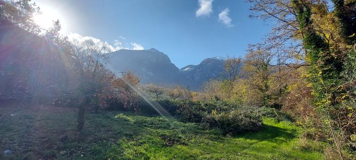 Image No.27-Propriété de pays de 2 chambres à vendre à Palombaro
