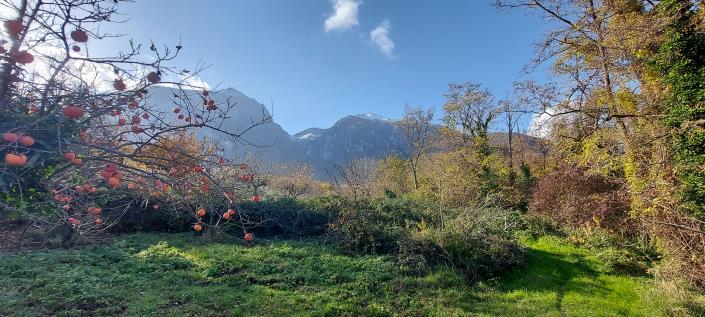 Image No.28-Propriété de pays de 2 chambres à vendre à Palombaro