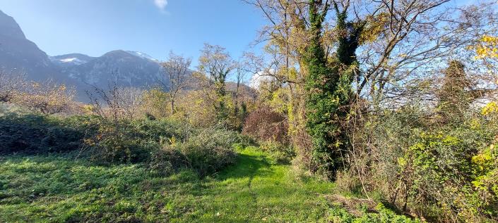 Image No.29-Propriété de pays de 2 chambres à vendre à Palombaro