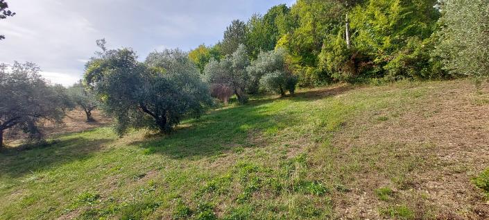 Image No.57-6 Bed House/Villa for sale