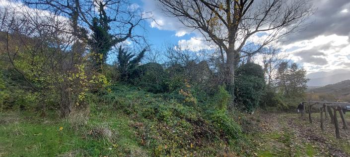 Image No.5-Country House for sale