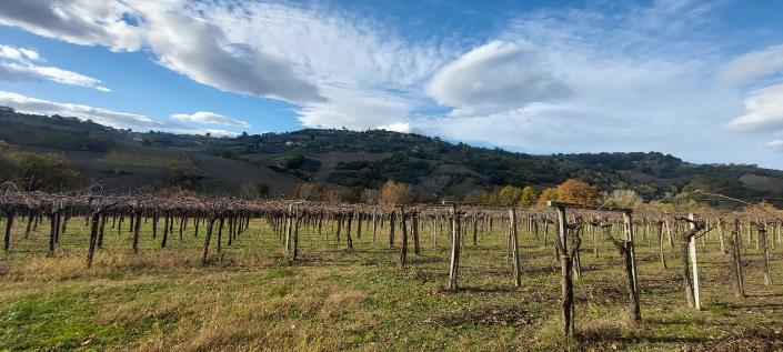 Image No.8-Country House for sale