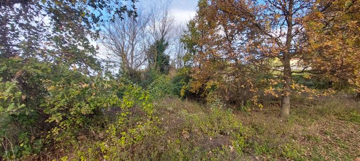 Image No.3-Country House for sale