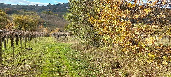 Image No.11-Country House for sale