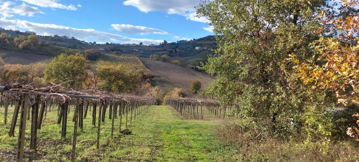 Image No.13-Country House for sale