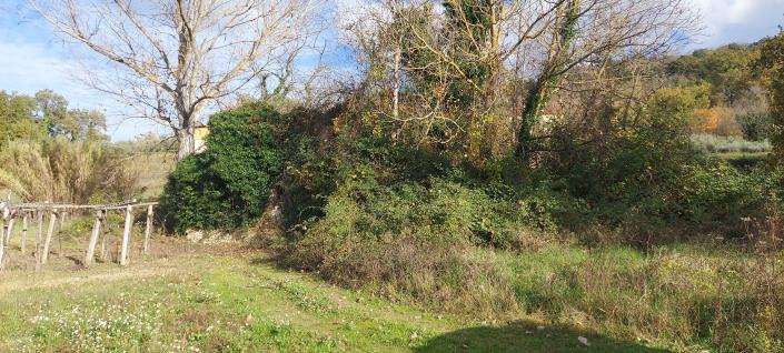 Image No.4-Country House for sale