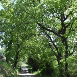 image--2-