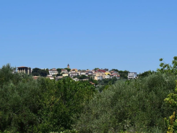 image--4-