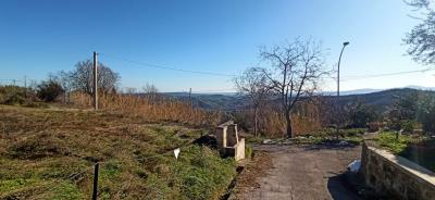 IMG-20230209-WA0011