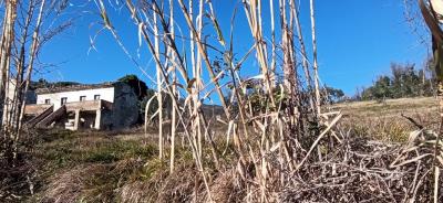 IMG-20230209-WA0010