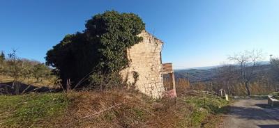 IMG-20230209-WA0018