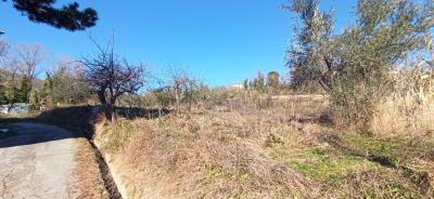 IMG-20230209-WA0019