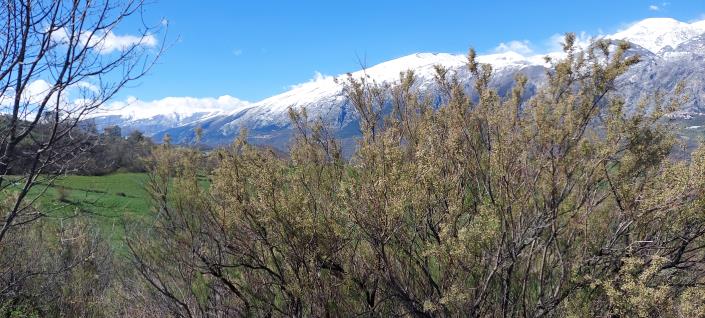 Image No.22-2 Bed Townhouse for sale