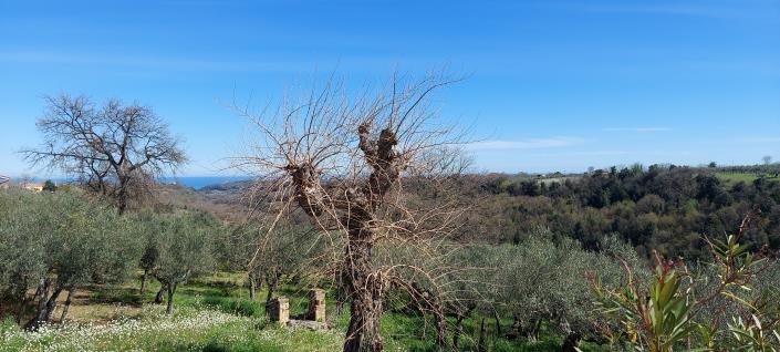 Image No.18-2 Bed Country Property for sale