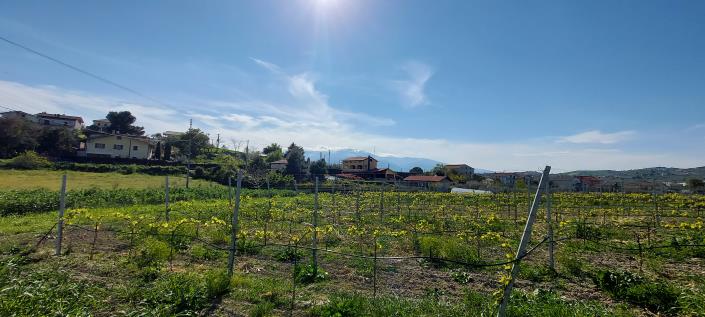 Image No.8-Country Property for sale