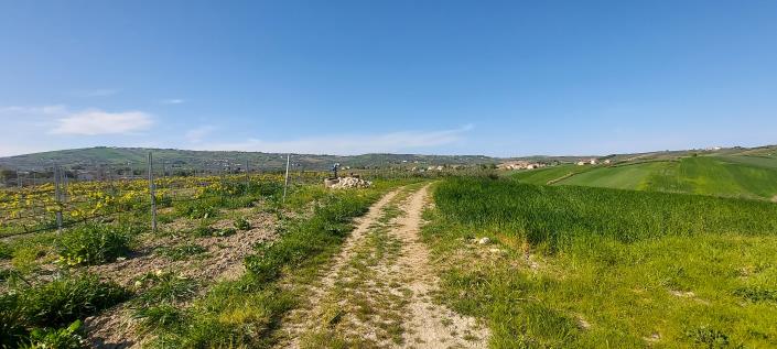 Image No.9-Country Property for sale